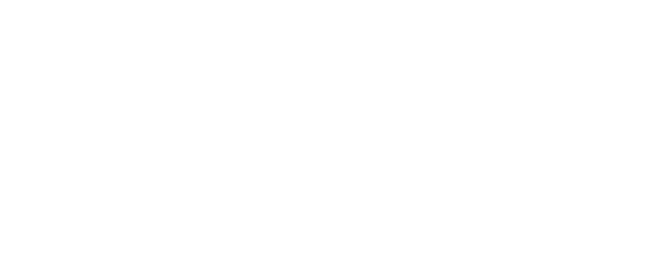 logo Berto & Fiorella Baccichetto