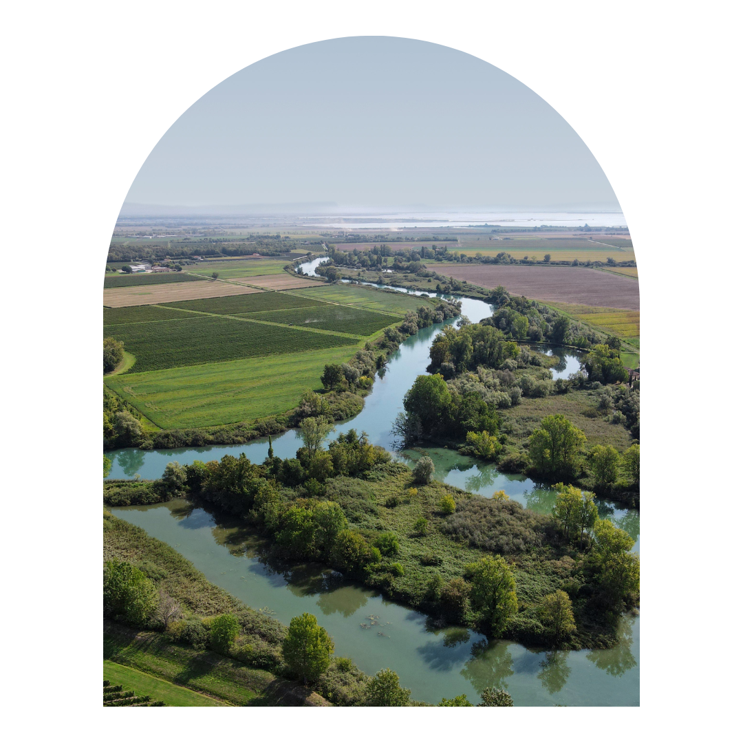 Landscape of the Stella River in Precenicco